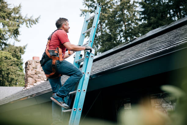 Best Roof Coating and Sealing  in Somerville, MA
